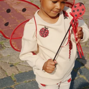 Konges Sløjd Kreativ & Spil | Fairy ladybug kostume - ladybug glitter