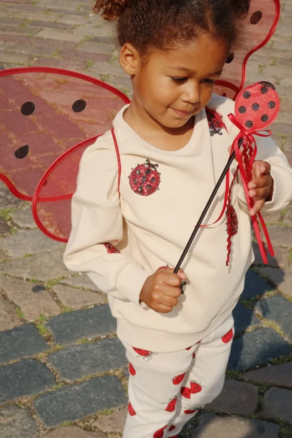 Konges Sløjd Kreativ & Spil | Fairy ladybug kostume - ladybug glitter